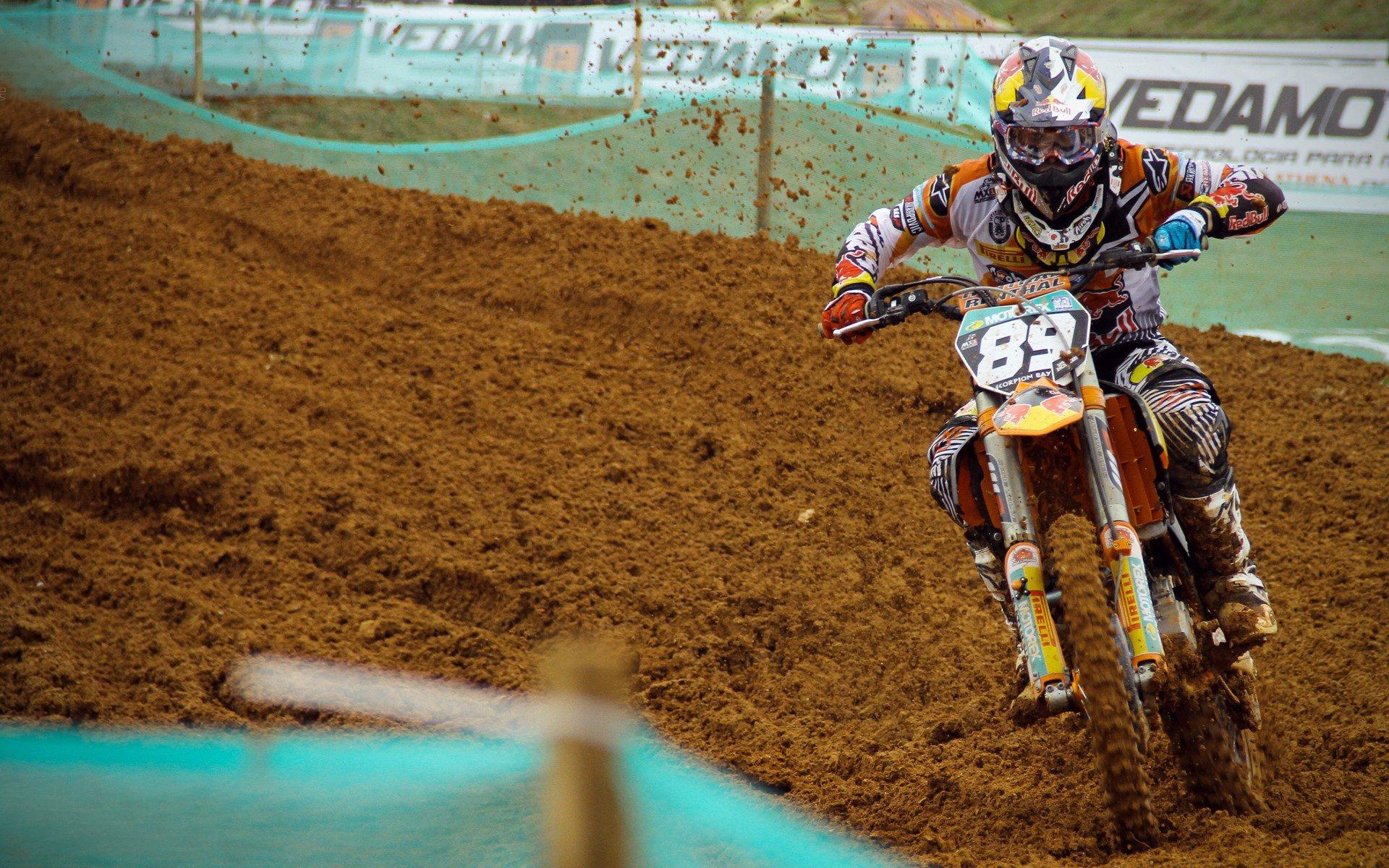 自由泳名将破纪录夺冠，中国小将闪耀国际泳联世锦赛