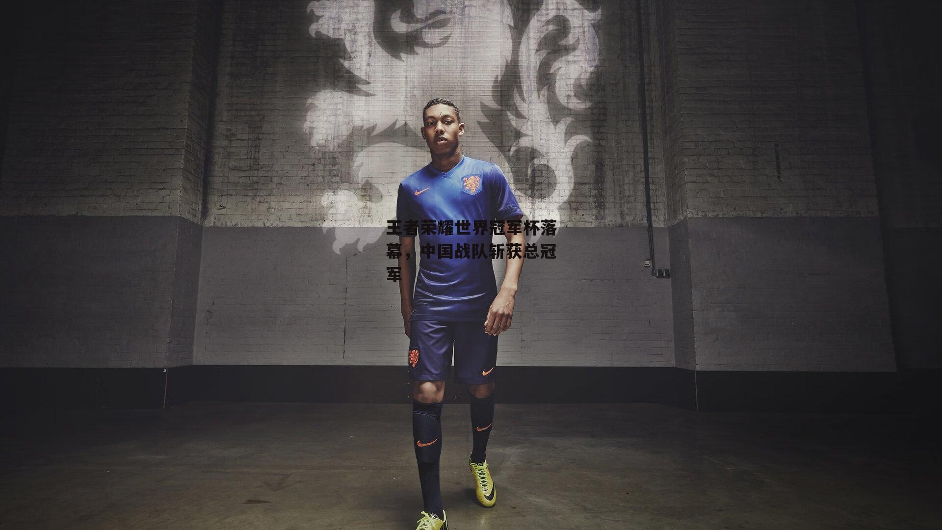 王者荣耀世界冠军杯落幕，中国战队斩获总冠军